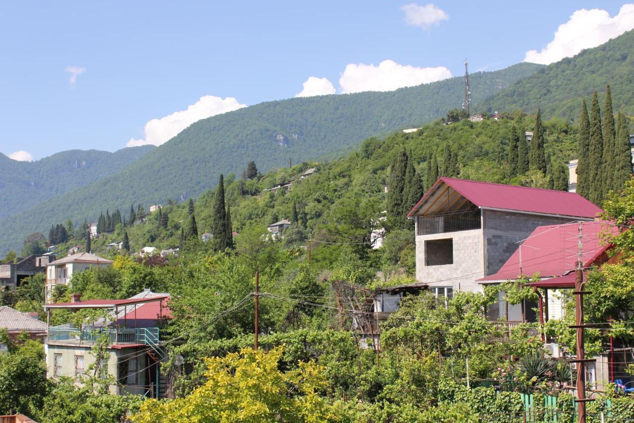 Guest House Zvanba Gagra Exterior photo